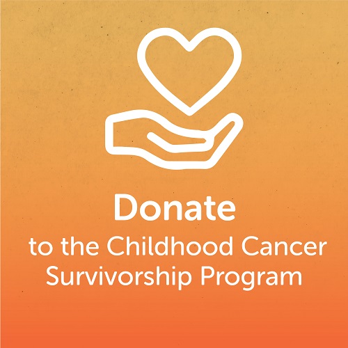 Donate to the Childhood Cancer Awareness Fund button