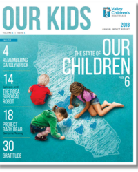 Valley Children's 2018 Annual Report