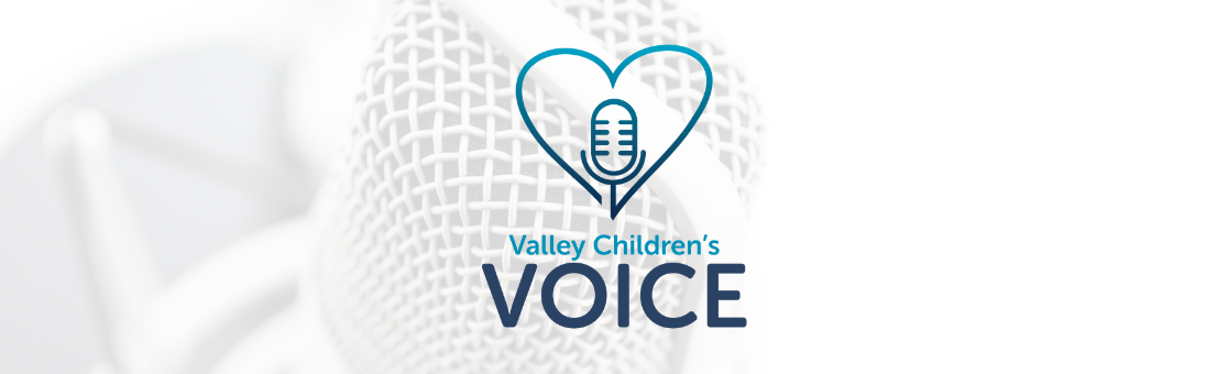 Valley Children's Voice banner