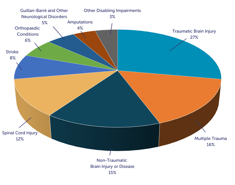 Valley Children's Inpatient Rehabilitation Center Demographics Chart