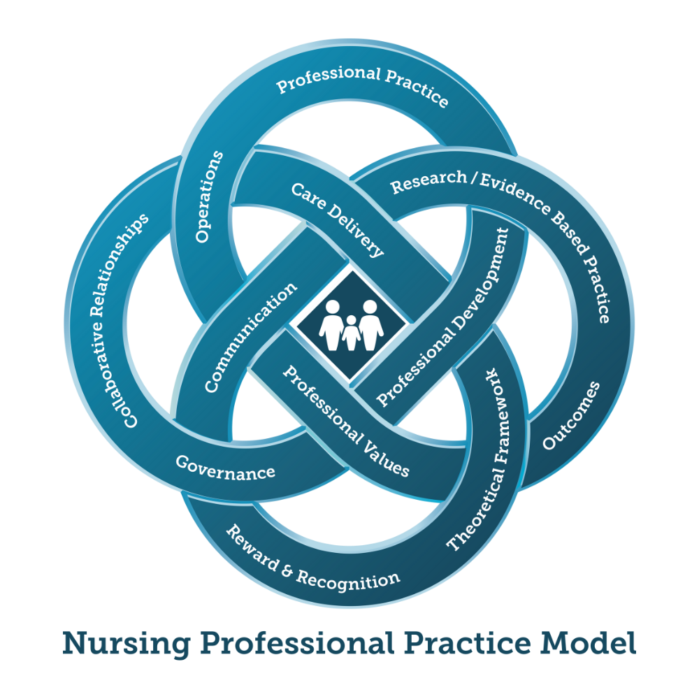 Valley Children's Nursing Professional Practice Model