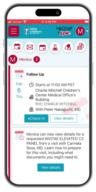 A smartphone showing how a user can E-Check In to an appointment
