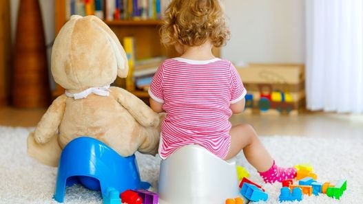 Potty Training Guide 
