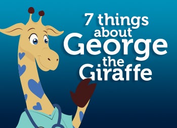 La jirafa George