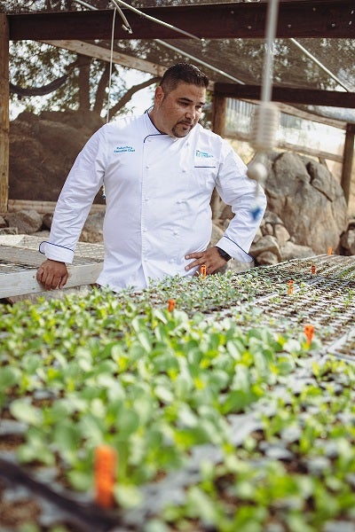 El chef Robert observa los productos frescos de la granja