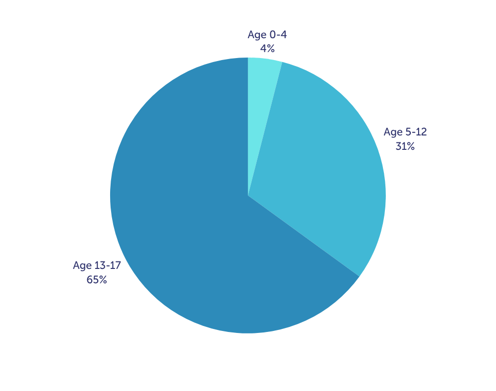 Pie chart showing the percentages of ages served in 2024 in the Rehab unit