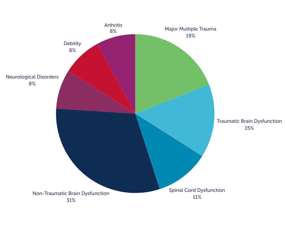 Pie chart showing distribution of conditions seen by Rehab in 2024