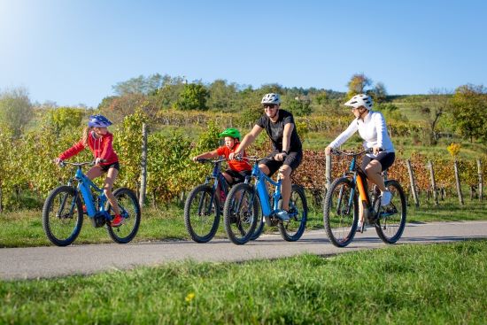 A family rides bikes on a bike path on a sunny day